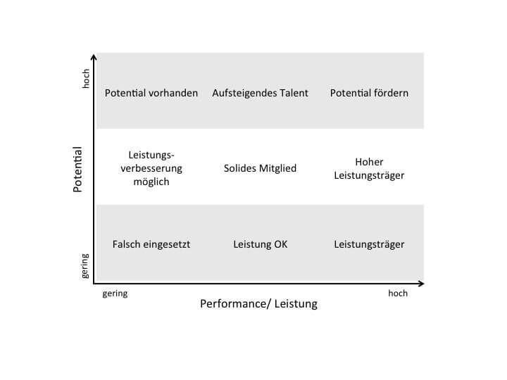 Performance Potential Matrix